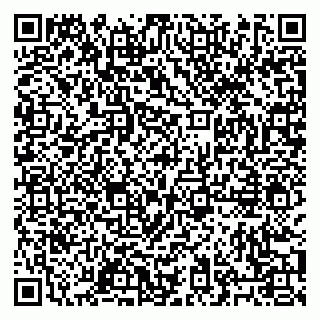 vCard 79027400389