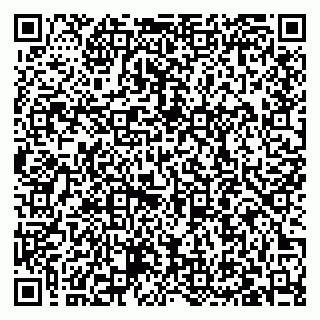 vCard 79027400393