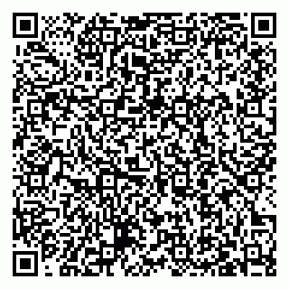 vCard 79027400394
