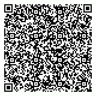 vCard 79028127333