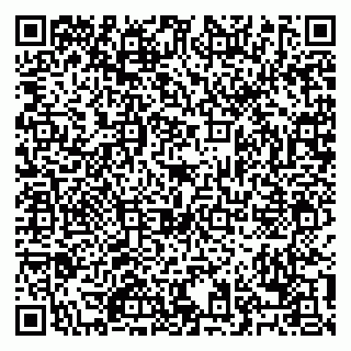 vCard 79028127381