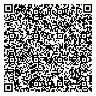 vCard 79028127384