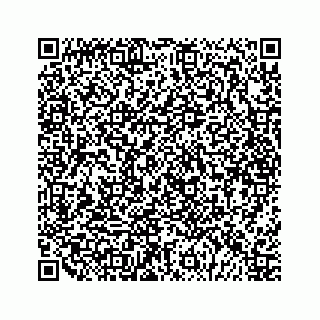 vCard 79028140203