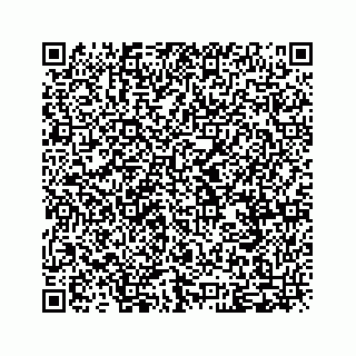 vCard 79028140245