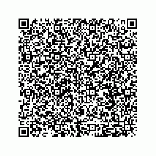 vCard 79028140255