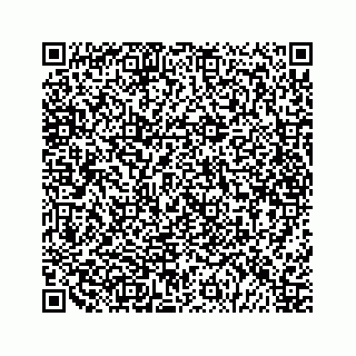 vCard 79028140265
