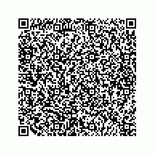 vCard 79028140266