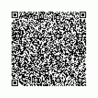 vCard 79028140267