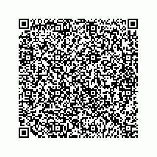 vCard 79028140268