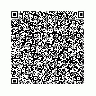 vCard 79028140270