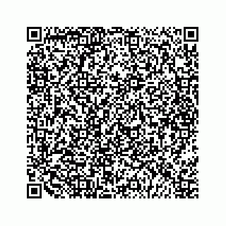 vCard 79028140271
