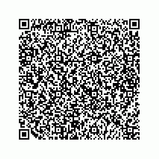 vCard 79028140272