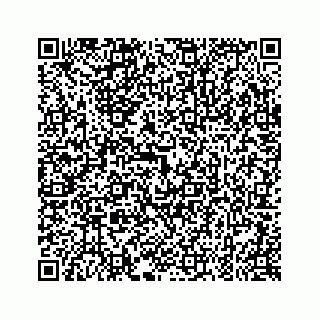 vCard 79028140273