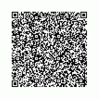 vCard 79028140274