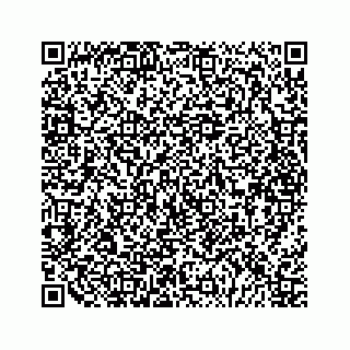 vCard 79028140450