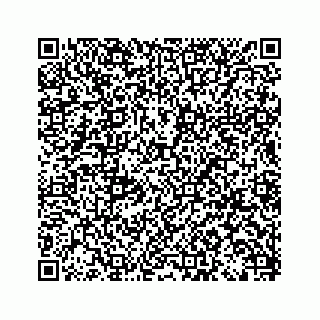 vCard 79028142772
