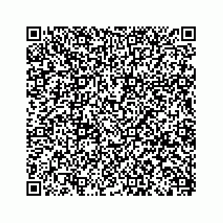 vCard 79028143053