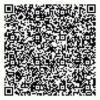 vCard 79028150310