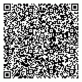 vCard 79028153341