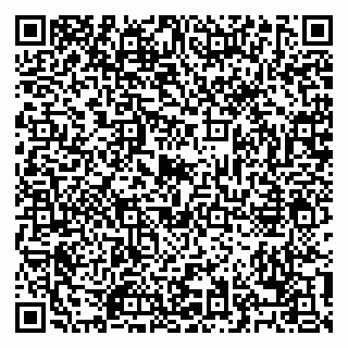 vCard 79028153382