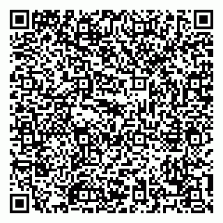 vCard 79028153389