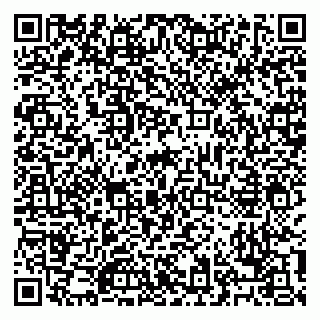 vCard 79028153409