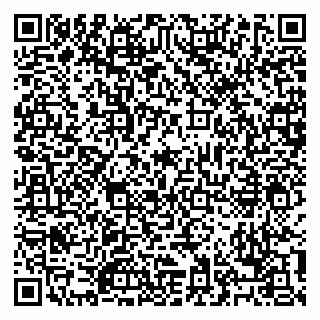 vCard 79028153411