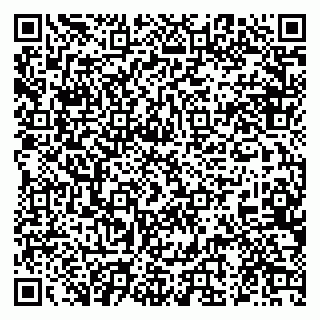 vCard 79028165383