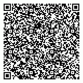 vCard 79028166665