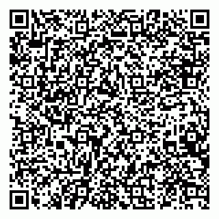 vCard 79028166678