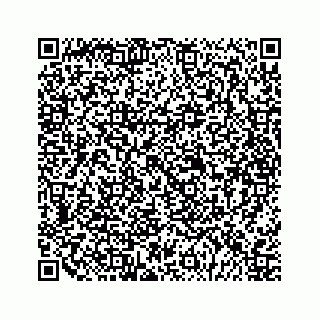 vCard 79028170181
