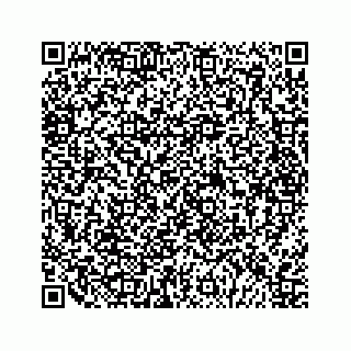 vCard 79028175294