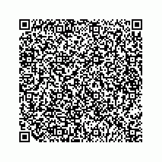 vCard 79028177197