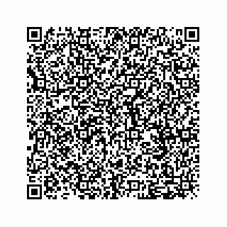 vCard 79028177298