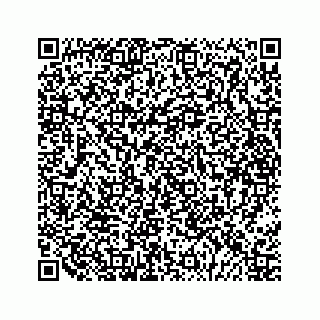 vCard 79028177303