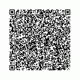 vCard 79028177305
