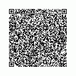 vCard 79028177307
