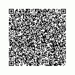 vCard 79028177309