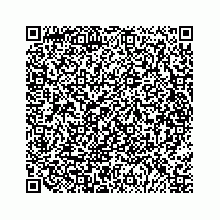 vCard 79028177310
