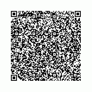 vCard 79028177311