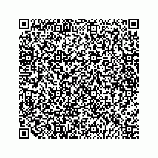vCard 79028177313