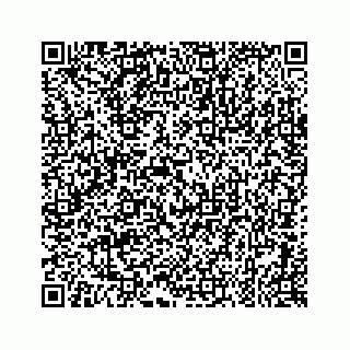 vCard 79028177321