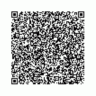 vCard 79028177330
