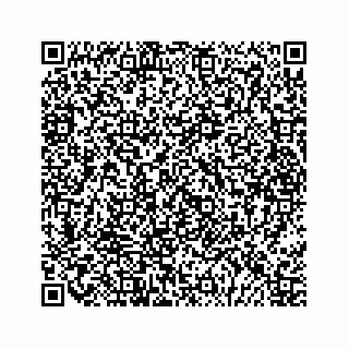 vCard 79028177333