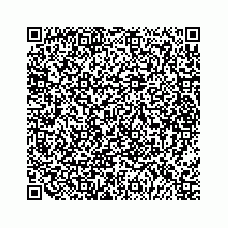 vCard 79028177335
