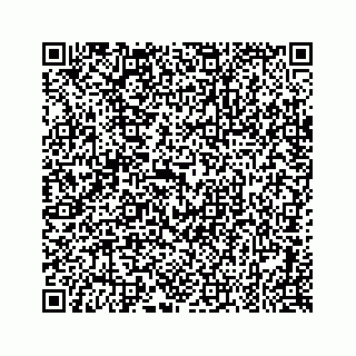 vCard 79028177342
