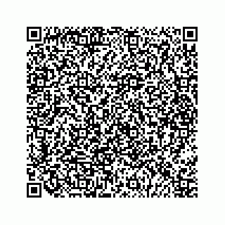 vCard 79028177343