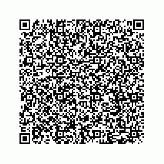 vCard 79028177345