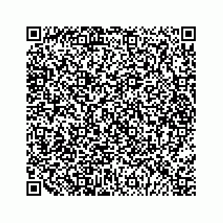vCard 79028177346