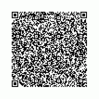 vCard 79028177347
